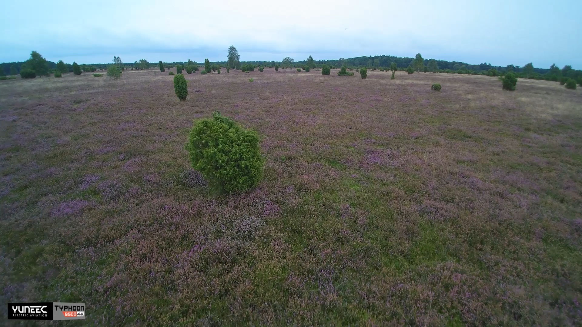 Lüneburger Heide