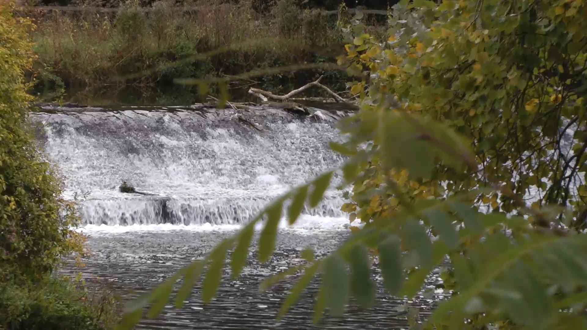 Wasserkraftwerk in der Emmer