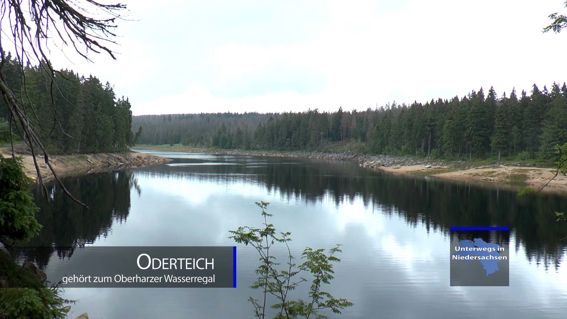 Oderteich