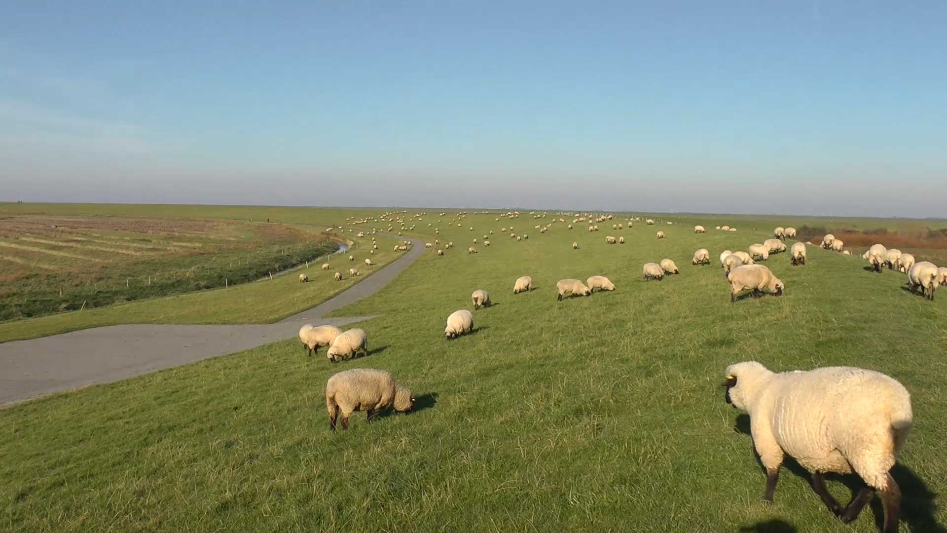 Natur in der Gemeinde Krummhörn