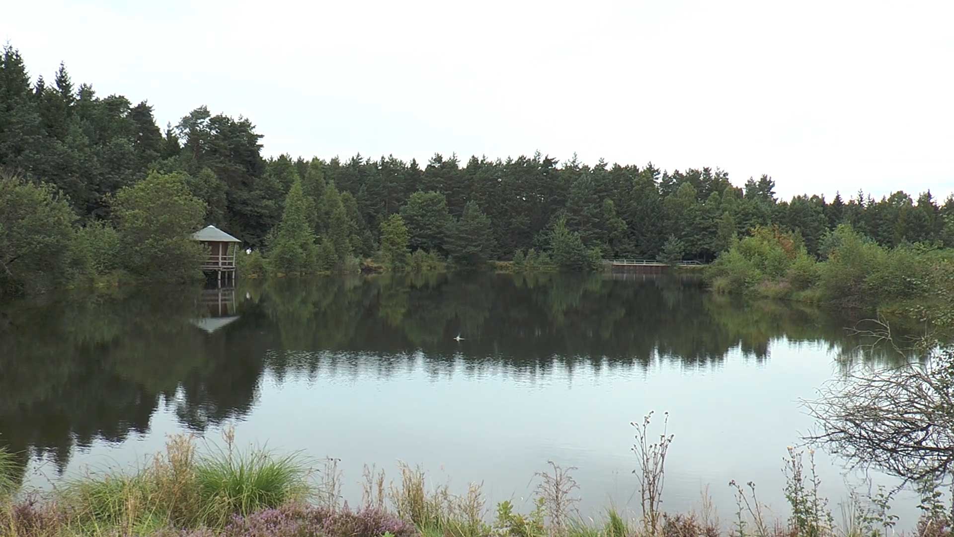 Löschwasserteich in der Heide