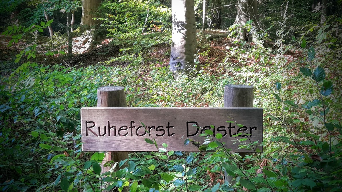 RuheForst Deister bei Wennigsen